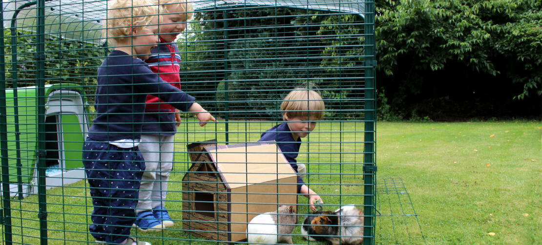 The low enclosure is high enough for small children to stand upright in it