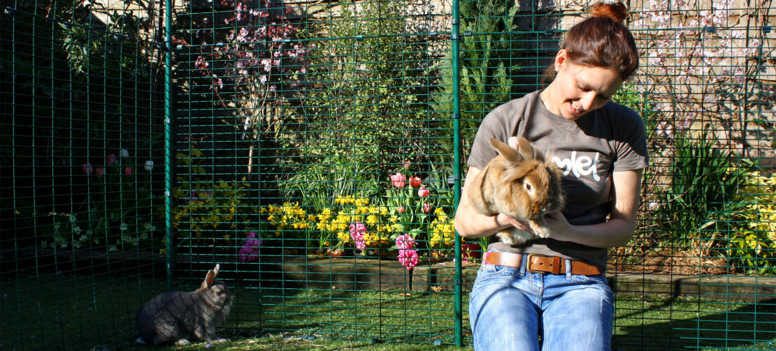 An Outdoor Rabbit Run provides your pet bunnies with lots of safe outdoor exercise space.