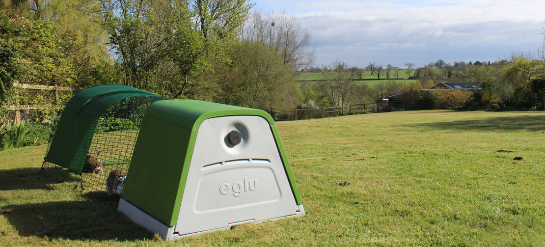 Rabbits love to enjoy the outdoors in the Eglu Go hutch