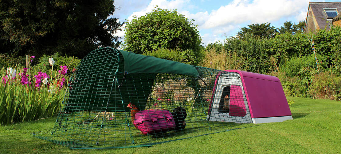 The Eglu Go chicken coop and run has everything you need to get started and makes keeping backyard chickens as easy as possible The Eglu Go chicken coop and run has everything you need to get started and makes keeping backyard chickens as easy as possible