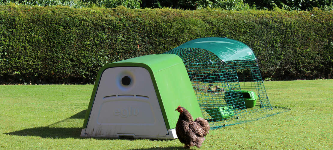 Thanks to it's twin wall insulation the Eglu Go chicken coop keeps your hens cool in the summer and warm in the winter Thanks to it's twin wall insulation the Eglu Go chicken coop keeps your hens cool in the summer and warm in the winter