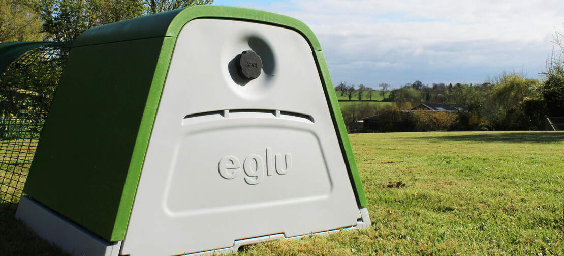 The back on an Eglu Go .