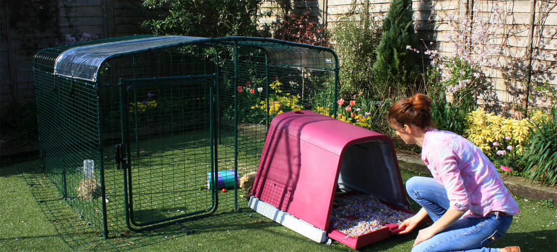 The Eglu Go guinea pig hutch can be easily connected to the outdoor guinea pig enclosure