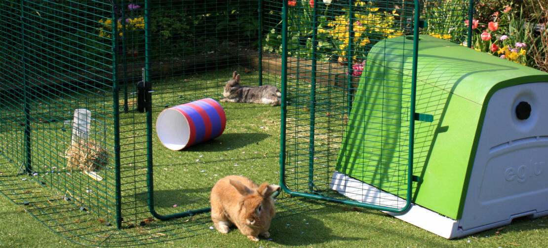 The lo-rise rabbit run offers lots of floor space for your pet bunnies and they will absolutely love having access to fresh grass