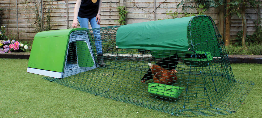 A range of weather proof shades are available to add to the run of the Eglu Go chicken coop - the stylish and contemporary choice of the modern backyard chicken keeper! A range of weather proof shades are available to add to the run of the Eglu Go chicken coop - the stylish and contemporary choice of the modern backyard chicken keeper!