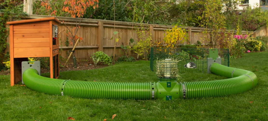 Rabbit hutch connected to Omlet Zippi rabbit playpen with Omlet Zippi tunnels