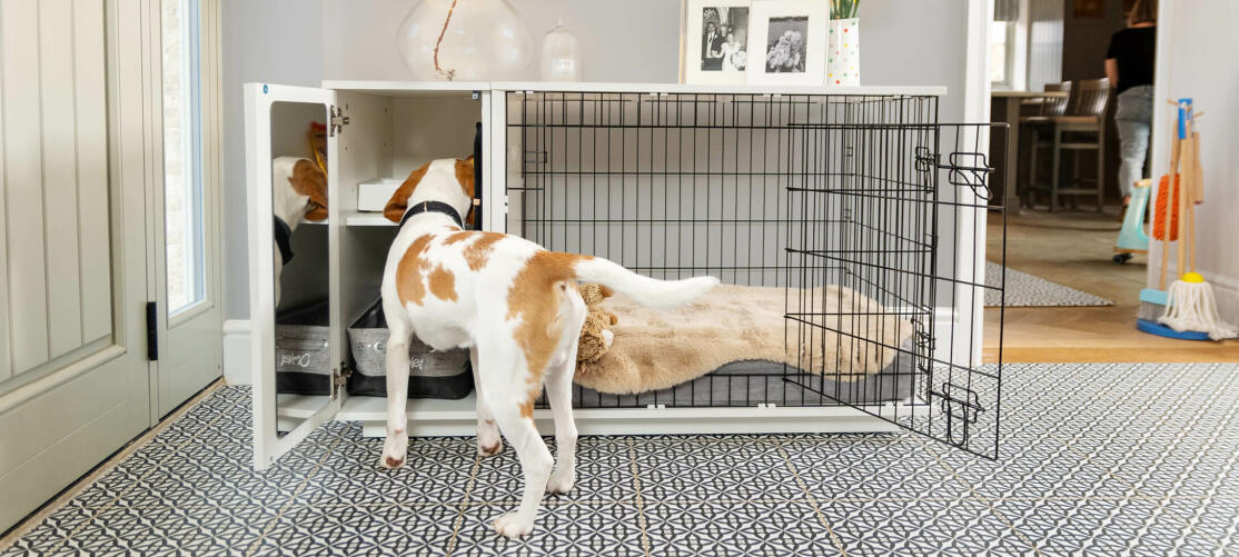 Fido Studio Dog Crate