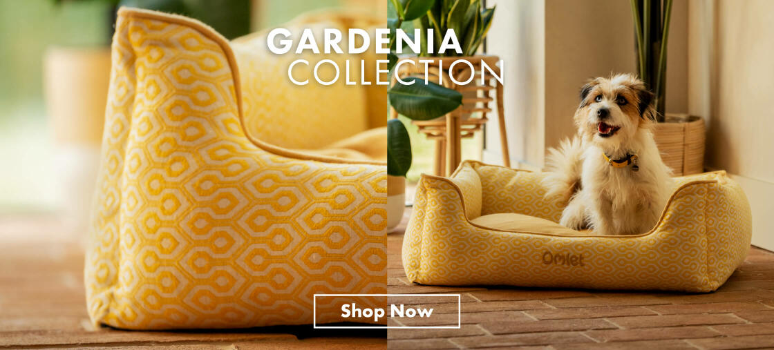 The gardenia collection