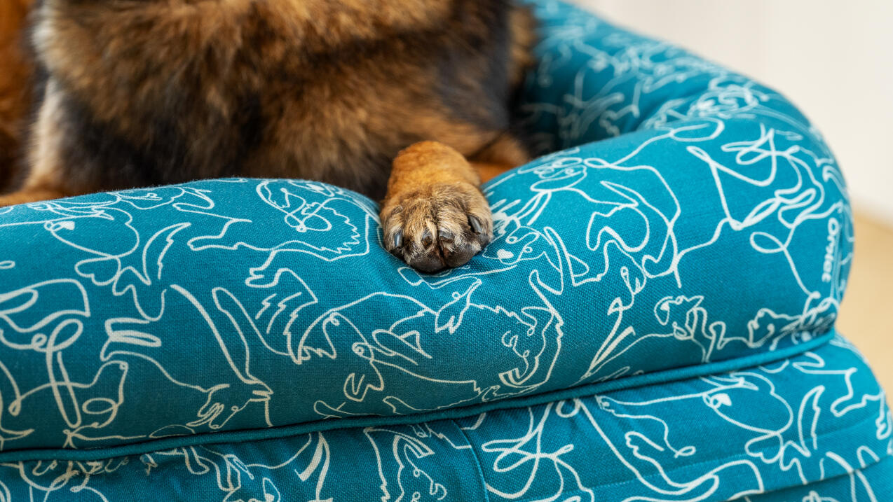 Detail of the blue doodle dog print bolster bed