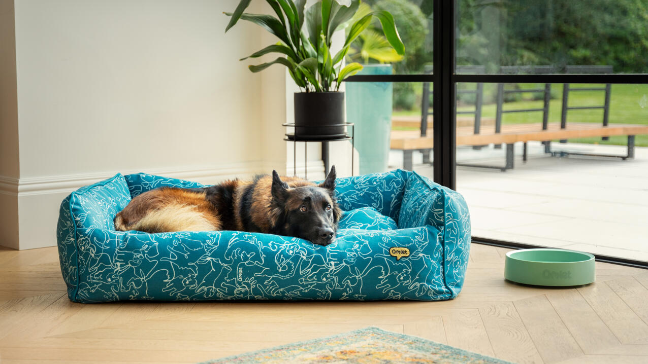 German shepherd lying in a blue nest dog bed in a modern living space