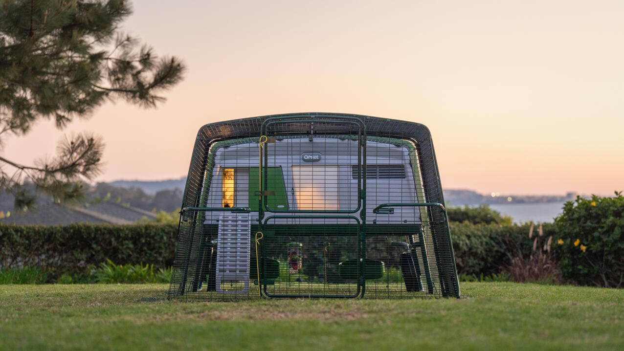 Eglu pro chicken coop with run at sunset with a coop light on