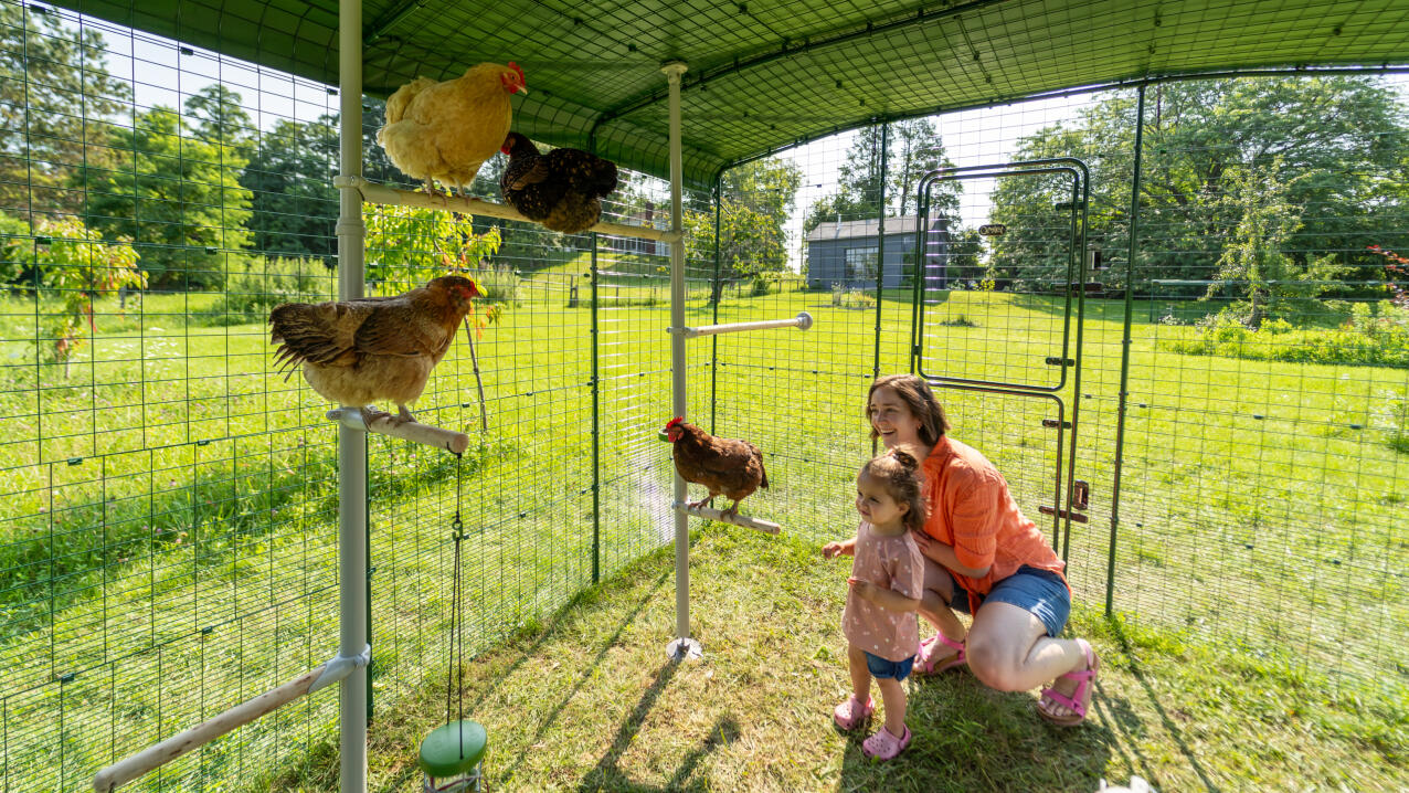 A mother and daughter inside a walk in chicken run interacting with their chickens.