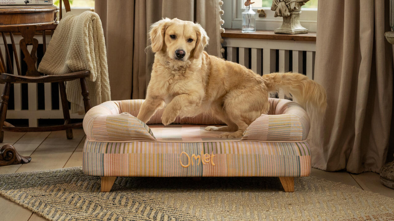 https://www.omlet.us/images/cache/1276/718/memory-foam-bolster-dog-bed-in-pawsteps-natural-limited-edition-print-by-omlet-desktop.jpg