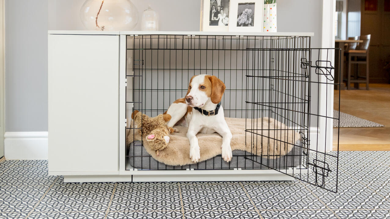 A beagle lying on a Topology dog bed in a crate