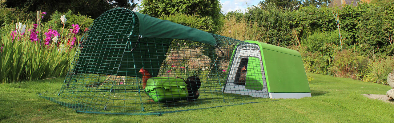 Eglu Go portable chicken coop