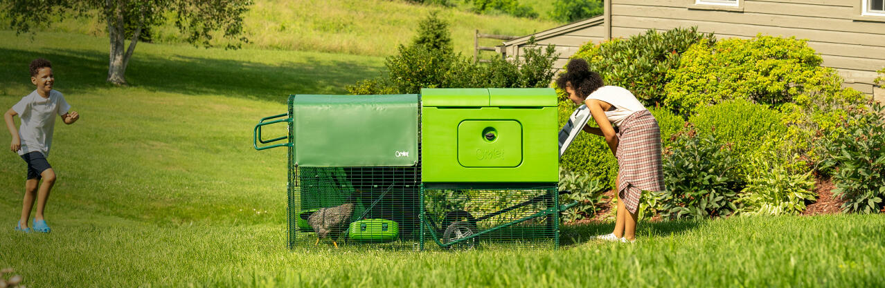 Eglu Cube large chicken coop with run and chickens