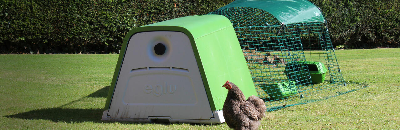 Eglu Go chicken coop with run and chickens
