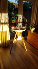 The Omlet Geo bird cage looking beautiful in our home.
