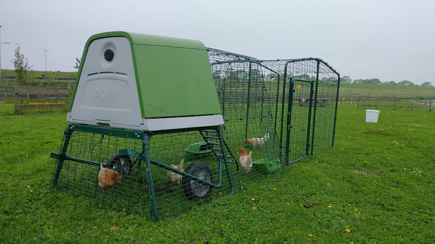 Portable Chicken Coop Eglu Go UP