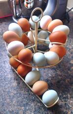 Egg skelter is the perfect way to show off my beautiful eggs whilst keeping them in date order. love it!!