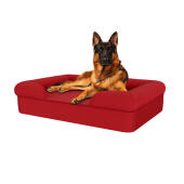 Dog sitting on merlot red large memory foam bolster dog bed