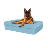 Dog sitting on sky blue large memory foam bolster dog bed