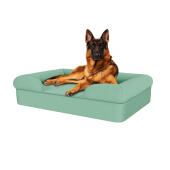 Dog sitting on teal blue large memory foam bolster dog bed