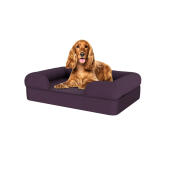 Dog sitting on medium plum purple memory foam bolster dog bed