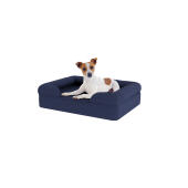 Dog sitting on small midnight blue memory foam bolster dog bed