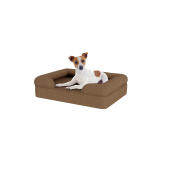 Dog sitting on small mocha brown memory foam bolster dog bed