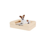 Dog sitting on small natural beige memory foam bolster dog bed