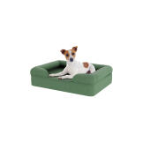 Dog sitting on small sage green memory foam bolster dog bed