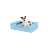 Dog sitting on small sky blue memory foam bolster dog bed