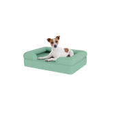 Dog sitting on small teal blue memory foam bolster dog bed