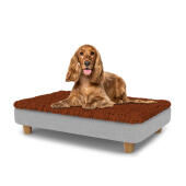 Dog sitting on a medium Topology dog bed with microfiber topper and wooden round feet