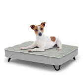 Dog sitting on a small Topology dog bed with quilted topper and black metal hairpin feet