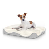 Dog sitting on small Topology dog bed with sheepskin topper