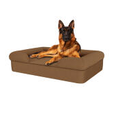 Dog sitting on toasted coconut large memory foam bolster dog bed