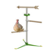 Chicken in the free standing  perch system kit