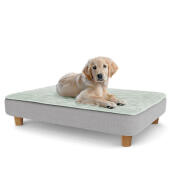 A puppy resting on the large Topology puppy bed with round wooden feet