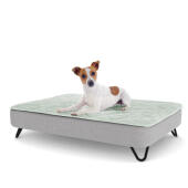 A puppy resting on the medium Topology puppy bed with black metal hairpin feet