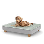 A puppy resting on the small Topology puppy bed with round wooden feet