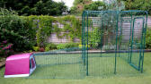 The Eglu Go with run attached to a walk in chicken run using a connection kit