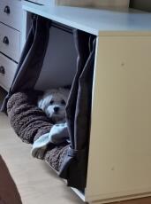 Dog sleeping in Fido Nook dog crate furniture