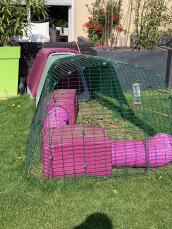 Purple Eglu Go rabbit hutch