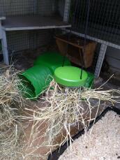 Not just for chickens, brilliant hanging hay rack for bunnies