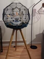 Omlet Geo bird cage with black cage, teal base and tall legs
