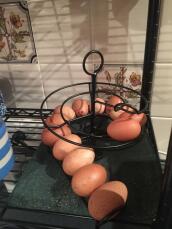 Eggs in Omlet black egg skelter