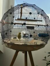 An Omlet Geo bird cage.