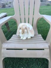 Sitting on a chair like a human! :)